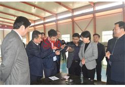 臨清市長祁學蘭參觀慰問